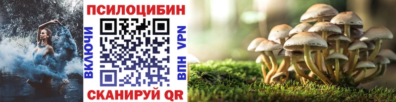 Галлюциногенные грибы MAGIC MUSHROOMS Гороховец