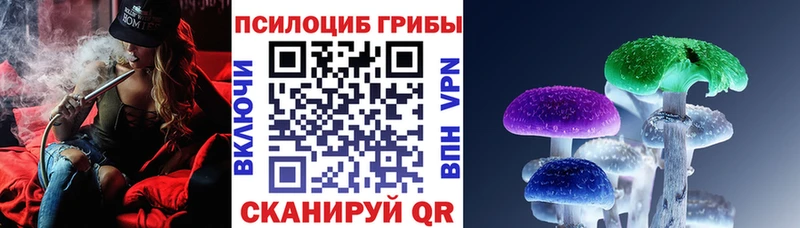 Псилоцибиновые грибы Magic Shrooms  Купить где  Гороховец 